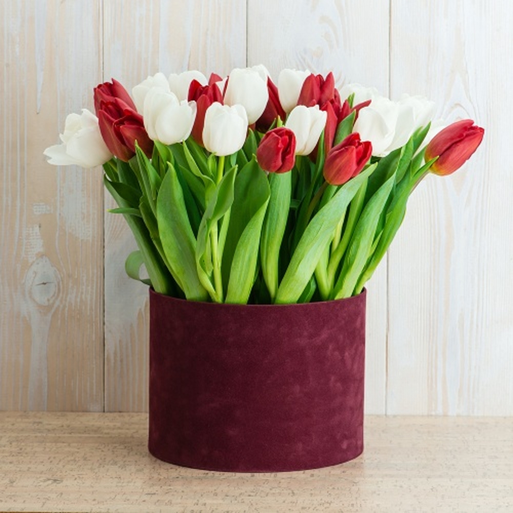 Mixed Tulip Flower Vase