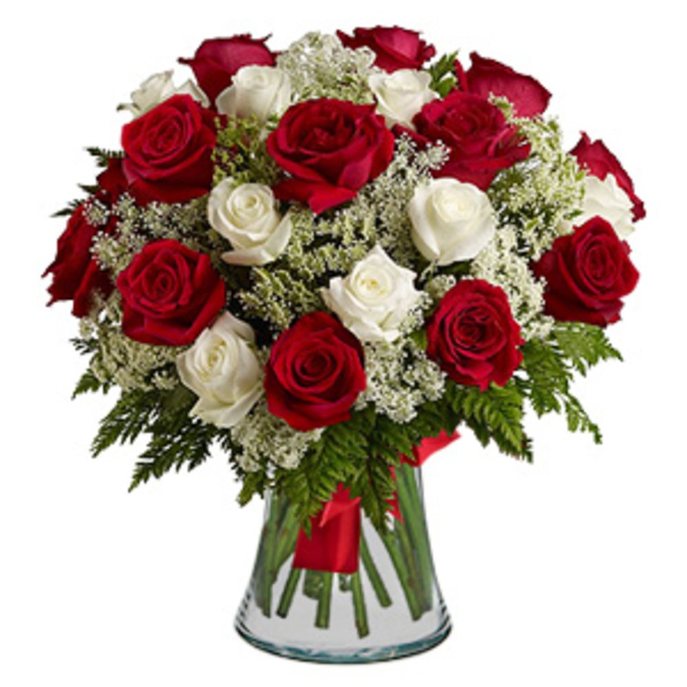 Passionate Red White Rose Vase