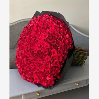 500 Red Roses Black Wrap 