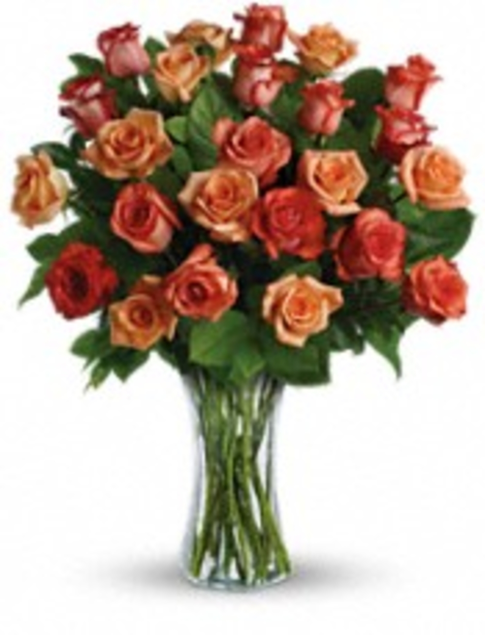 24 Mixed Rose Vase