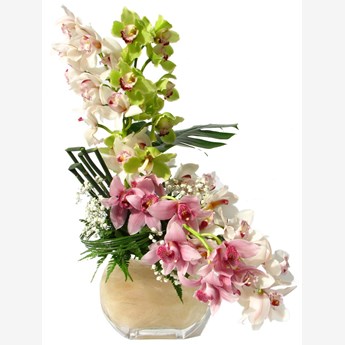 Mixed Orchid Flower Arrangement
