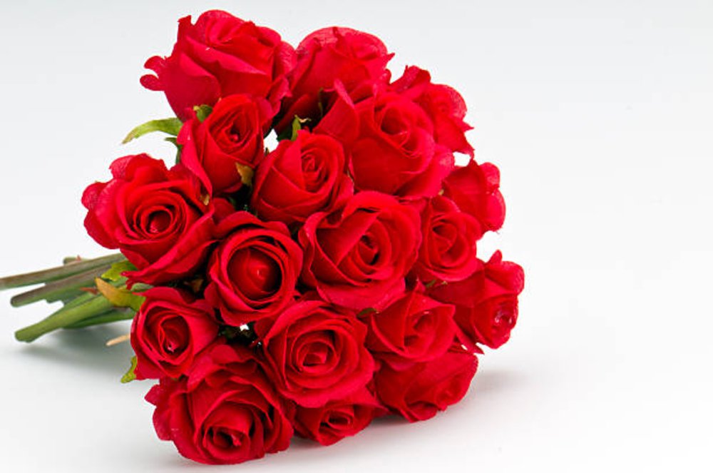 13 Red Lovely Bloom
