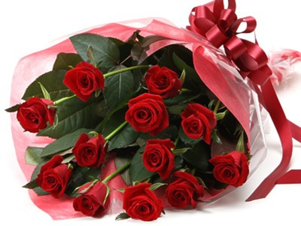 12 Red Rose Flower 
