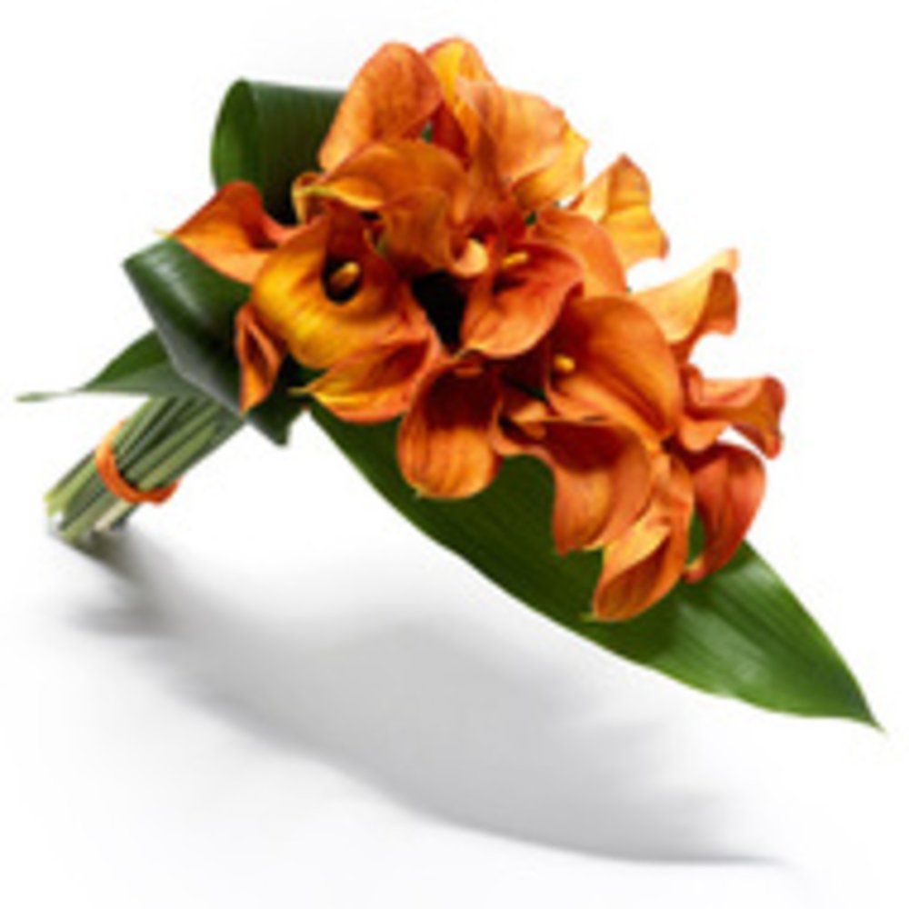 20 Cala Lilies Hand Bouquet