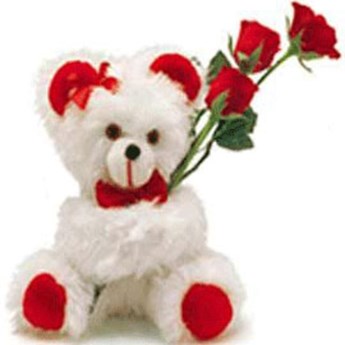 Teddy Rose Combo
