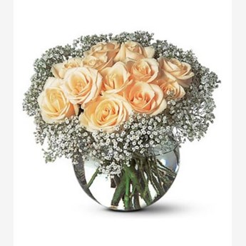 12 Splendid Peach Rose Vase