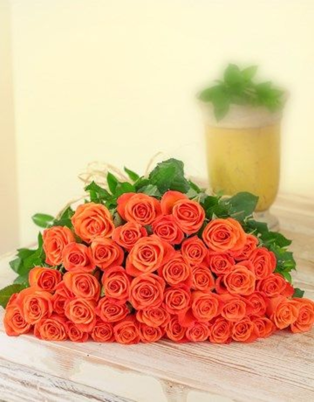 24 Orange Rose Flower Vase