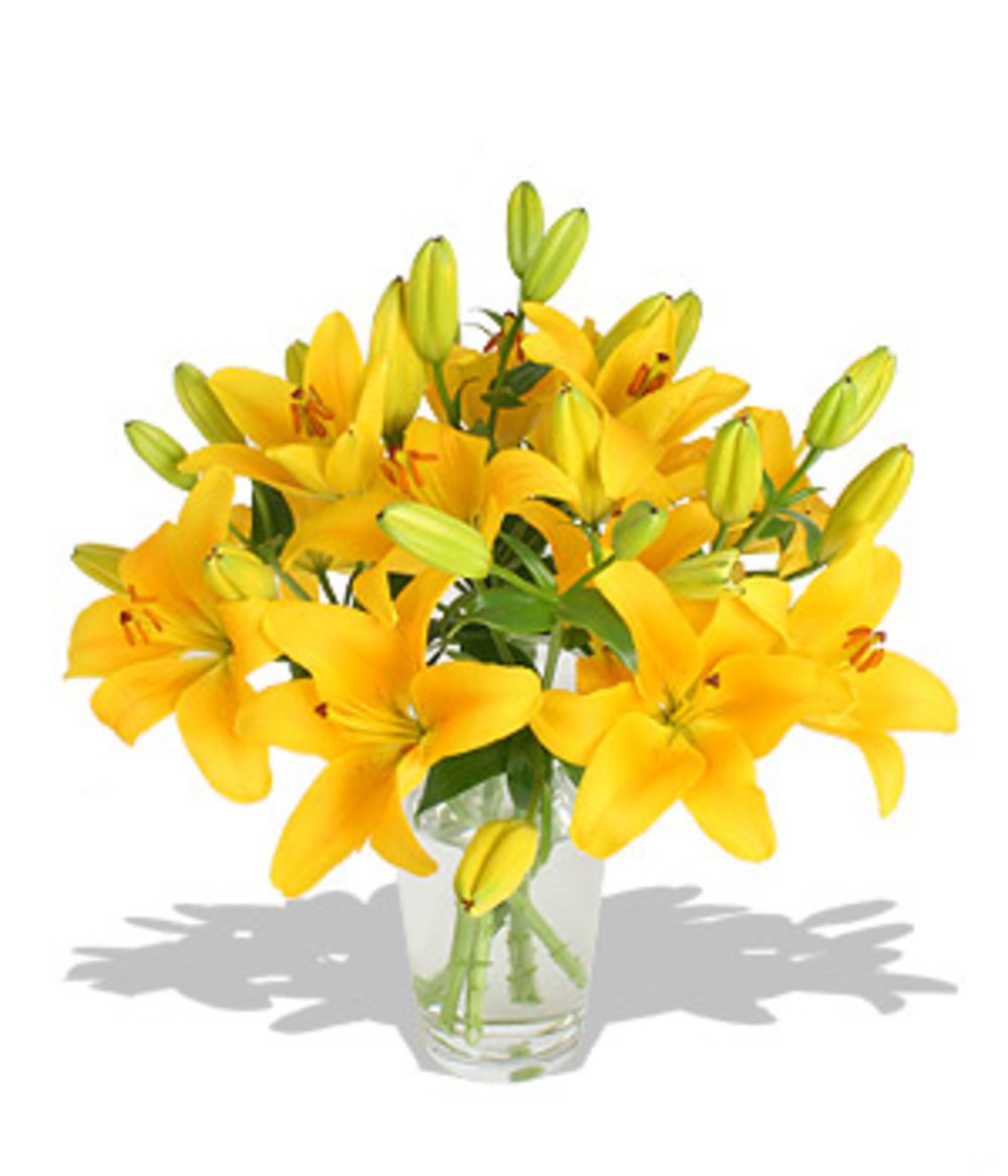 Bright Yellow Lily Vase